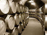 Valencia wines Spanish Wine - Valencia wines