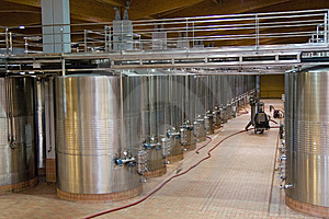 Wine production Spanish Wine - Wine production