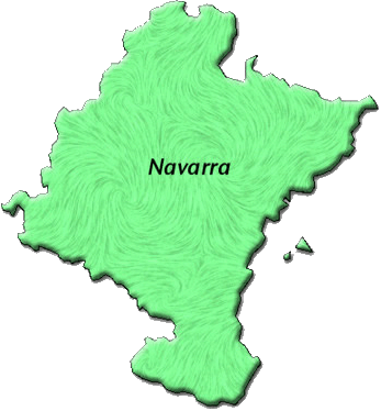 Spanish Wine - Navarre