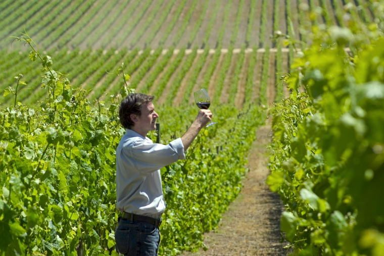 Wine Tours Spanish Wine - Wine Tours