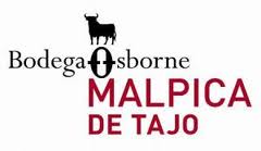 Spanish Wine - Wine Tours Osborne