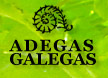 Spanish Wine - Wine Tours Adegas Galegas