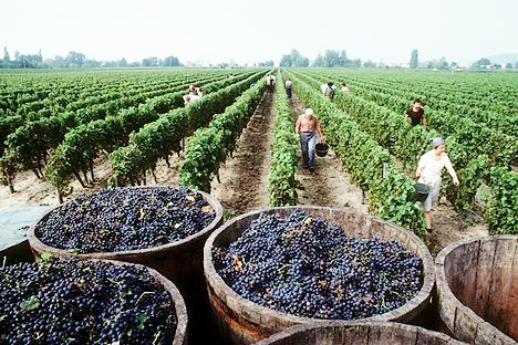 Wine Tours Navarra Spanish Wine - Wine Tours Navarra