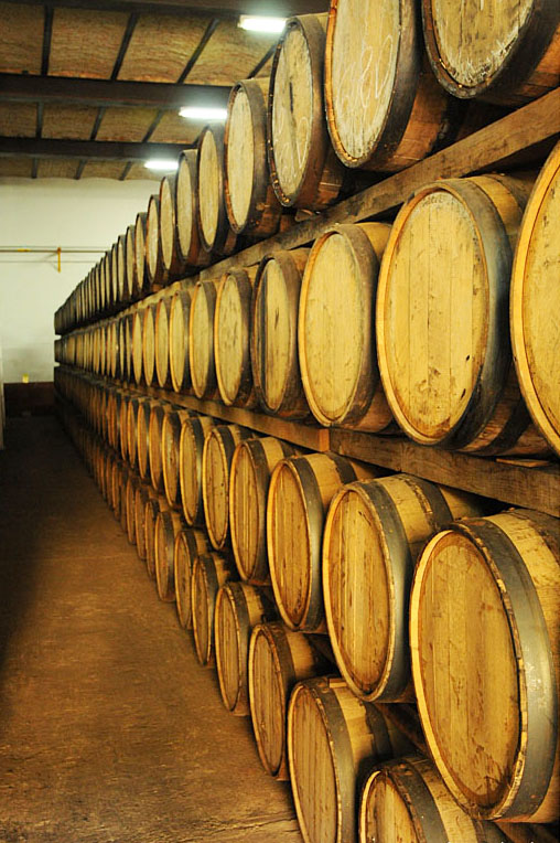 DO Jerez Spanish Wine - DO Jerez