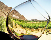 DO Rias Baixas Spanish Wine - DO Rias Baixas