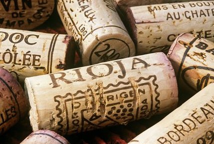 Spanish Wine - Wine Tours Rioja