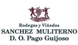 Spanish Wine - Pago Guijoso