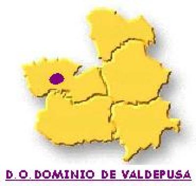 Spanish Wine - Dominio Valdepusa