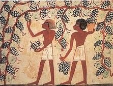 Wine production Spanish Wine - Wine production